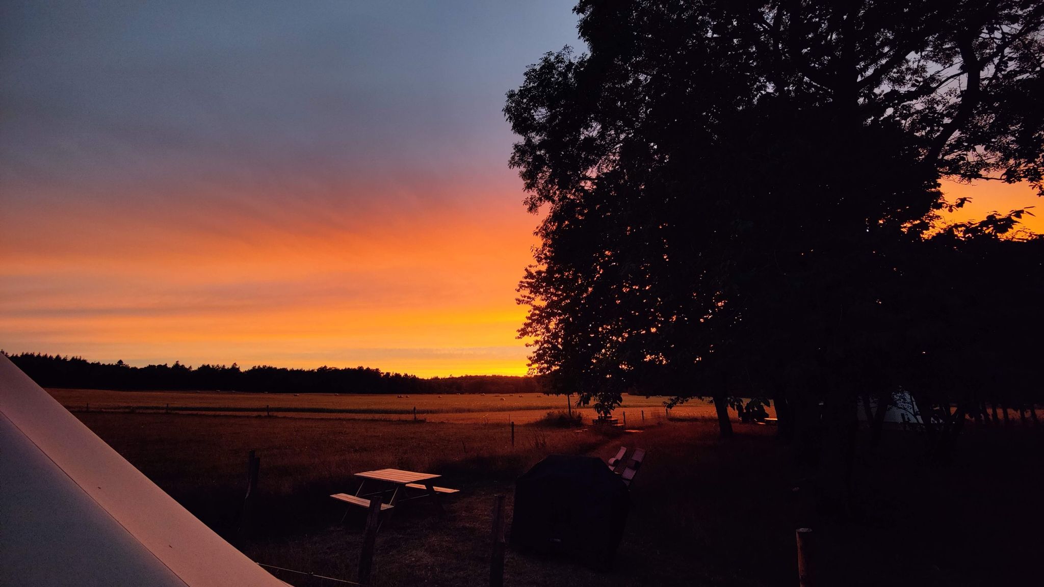 Under Canvas Bornholm - naturnær glamping på Bornholm
