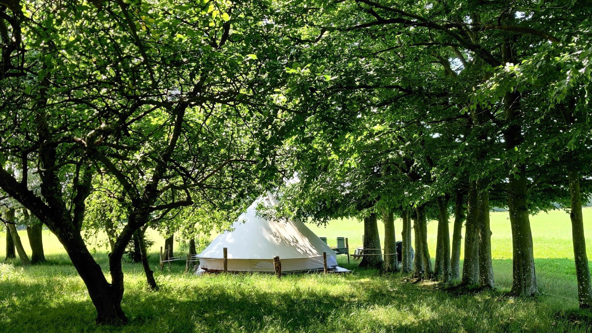 Under Canvas Bornholm - naturnær glamping på Bornholm