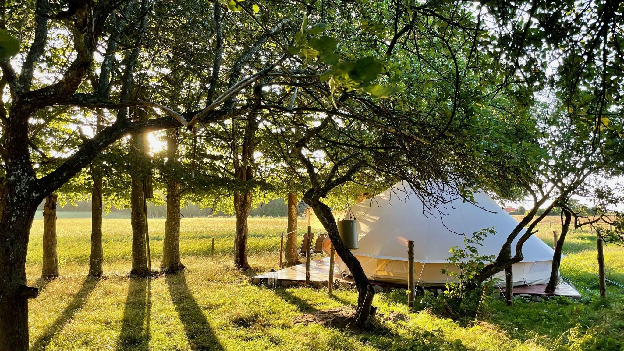 Under Canvas Bornholm - naturnær glamping på Bornholm