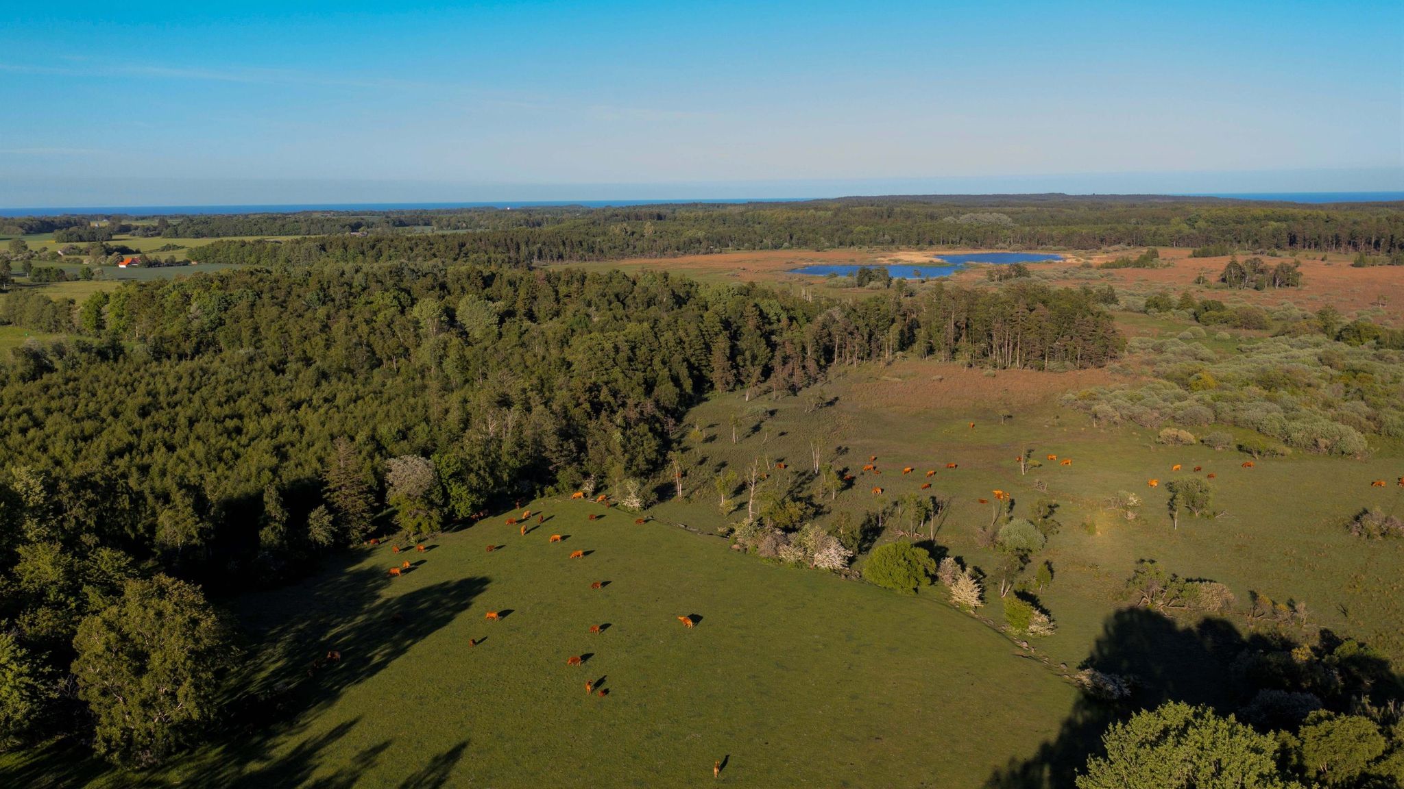 Under Canvas Bornholm - naturnær glamping på Bornholm
