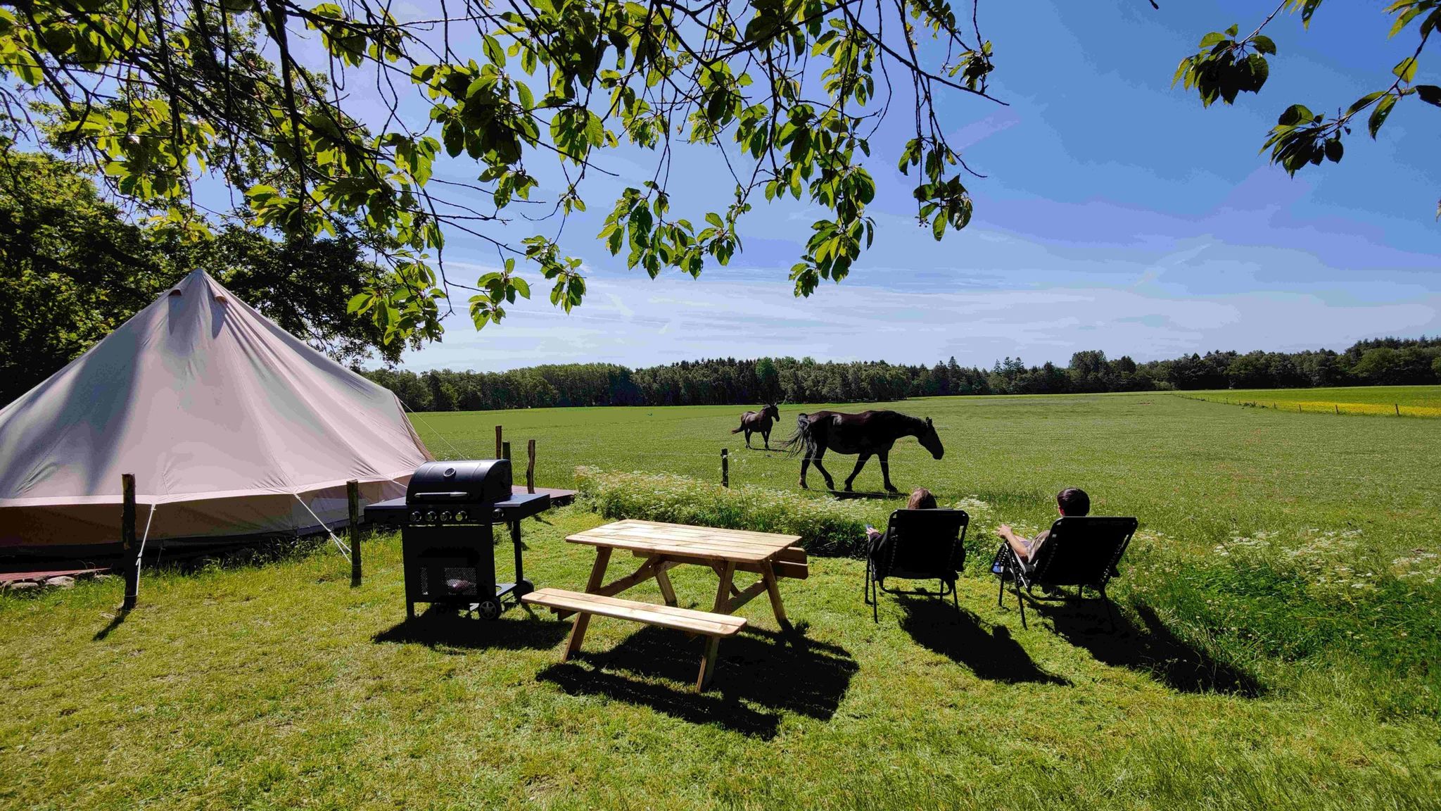 Under Canvas Bornholm - naturnær glamping på Bornholm