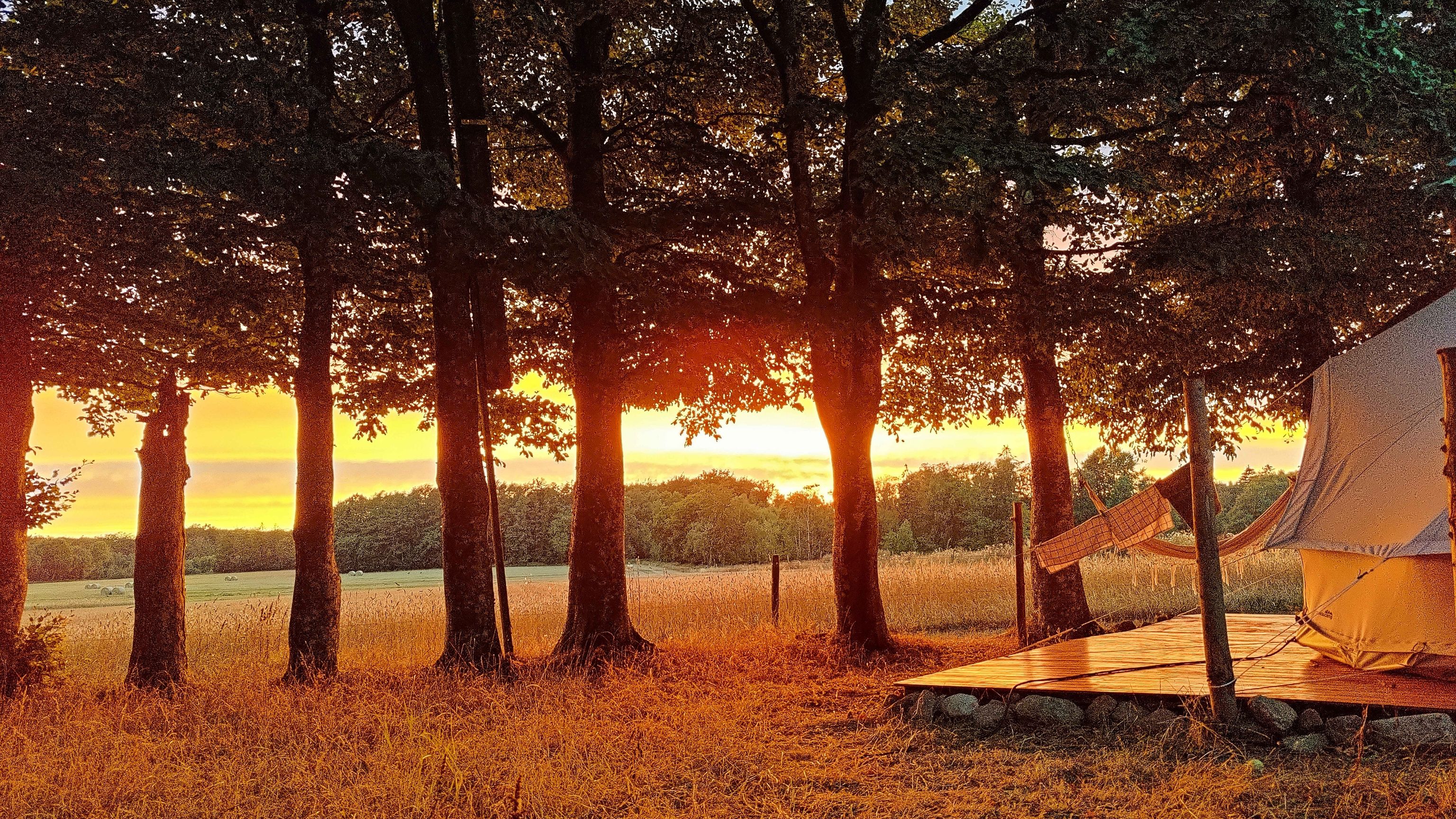 Under Canvas Bornholm - naturnær glamping på Bornholm