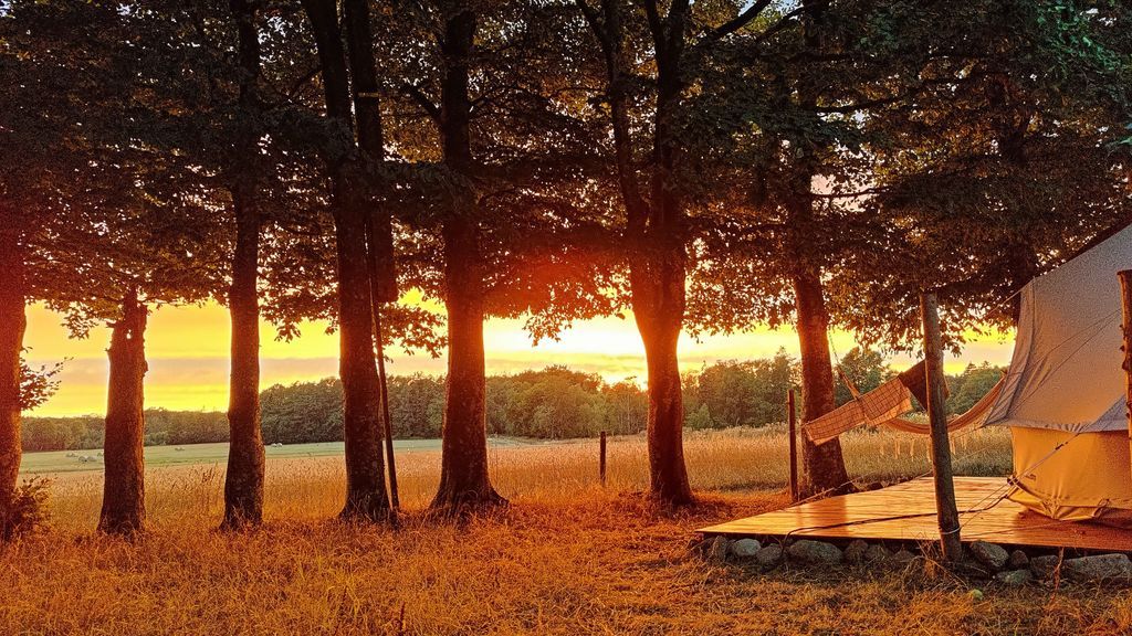 Under Canvas Bornholm - naturnær glamping på Bornholm