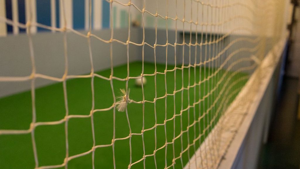 Værftet - Indendørs skate-hal, legeland og café