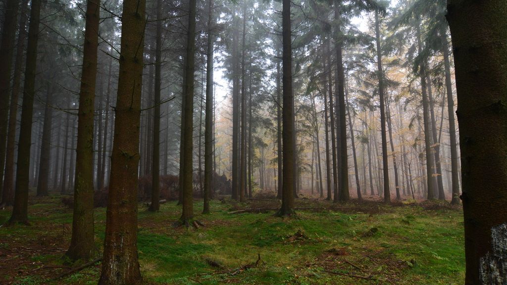 Vestermarie plantage