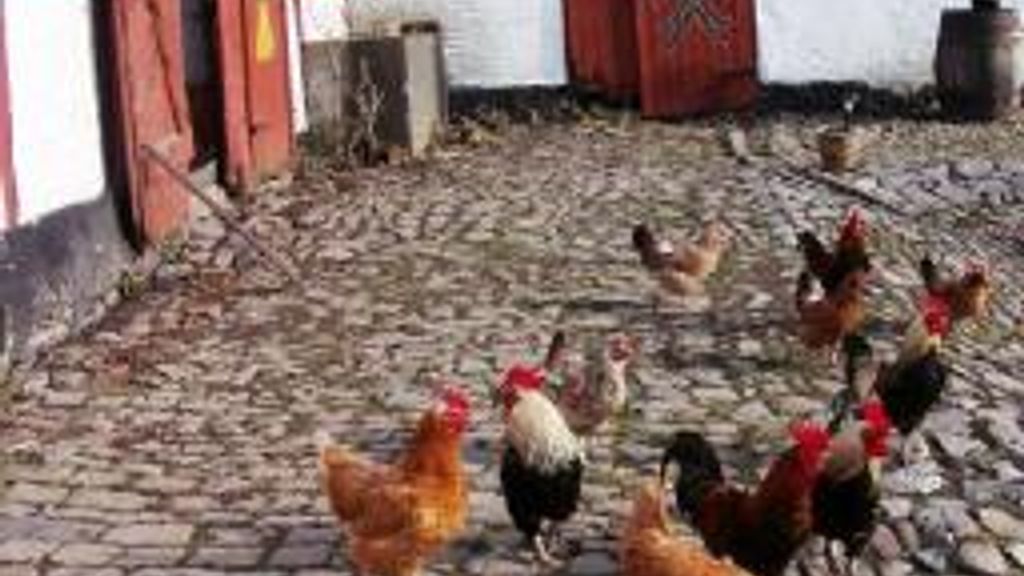 Vikingegården Værfeldtsgård