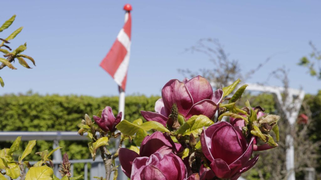 Udsigt over galleriet: sommer på solskinsøen