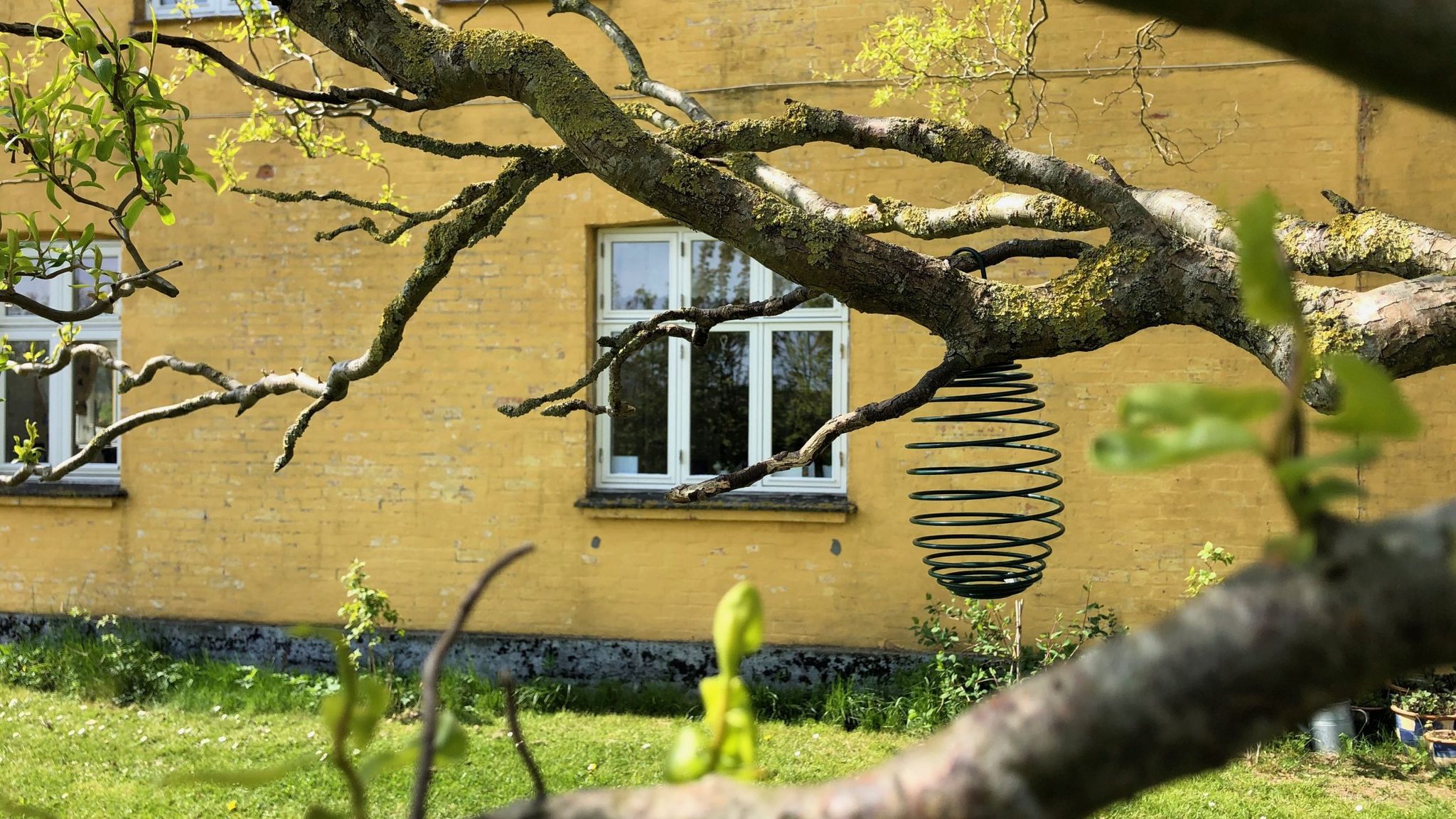 Spring: Front of House