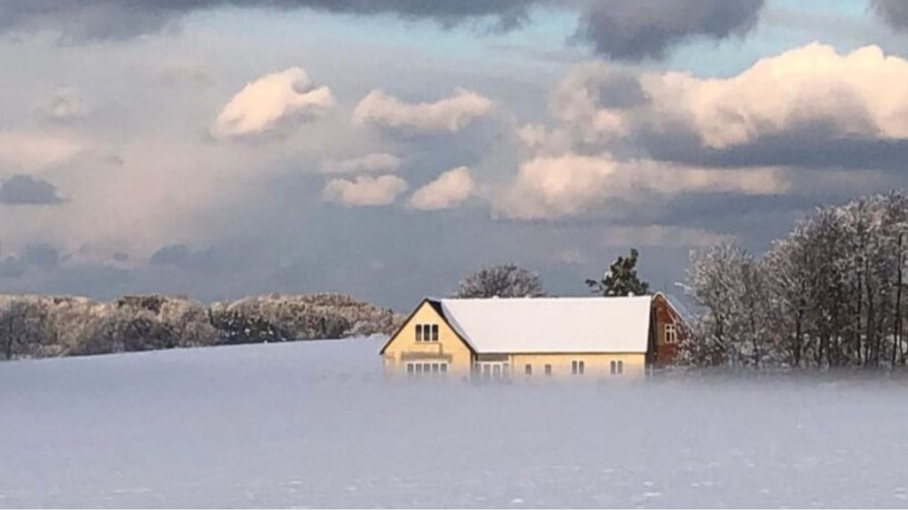 Winter: Floating in the mist
