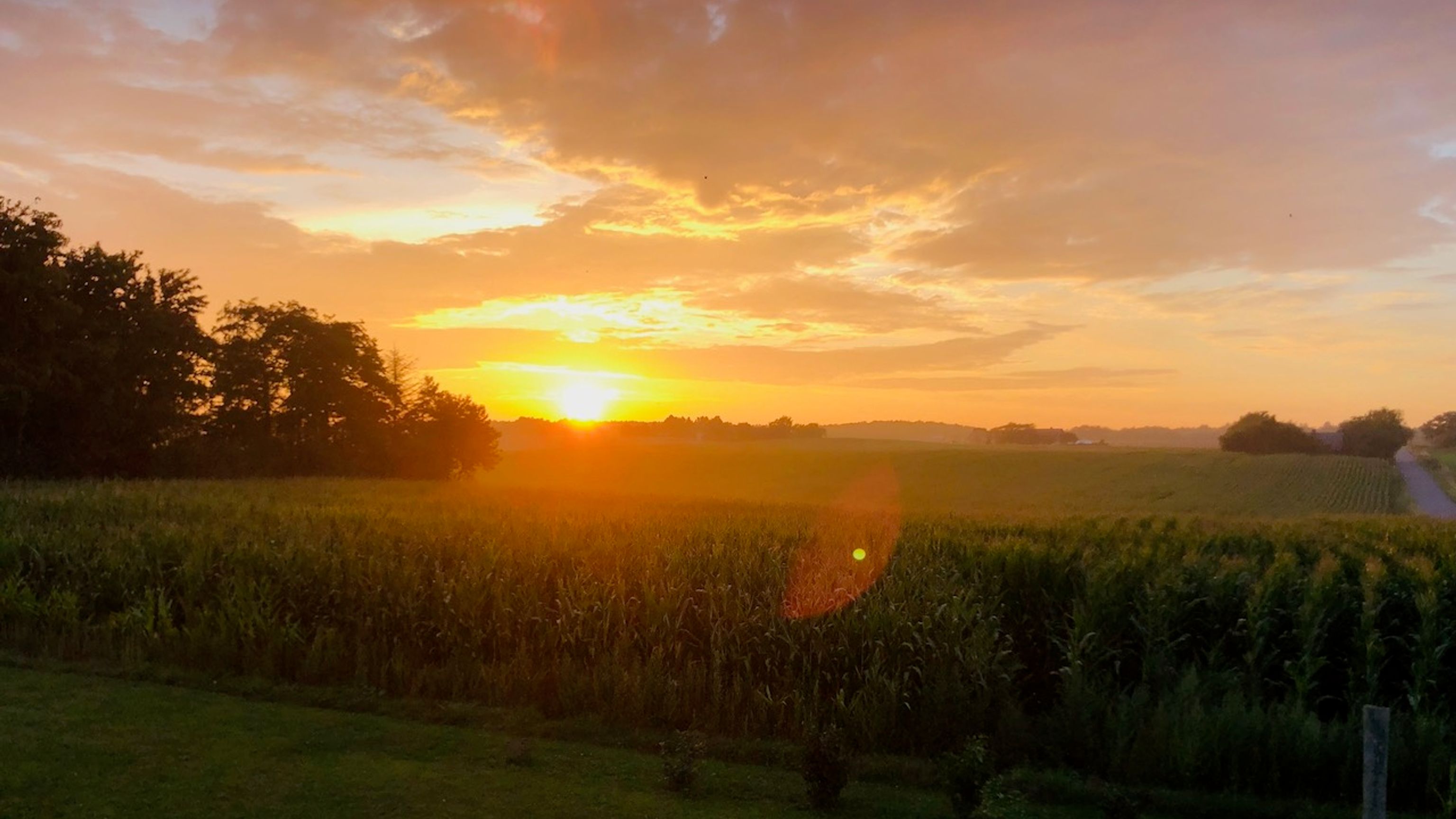 Harvest Sunset from terrace