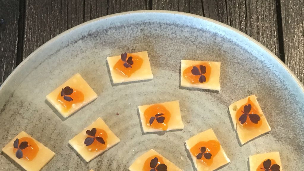 Høstet - Havtorn Bornholm