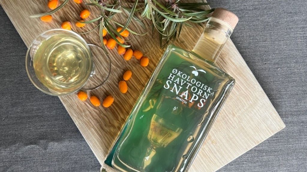 Økologisk havtornsnaps fra HØSTET