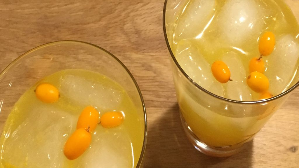 Havtorndrink fra HØSTET