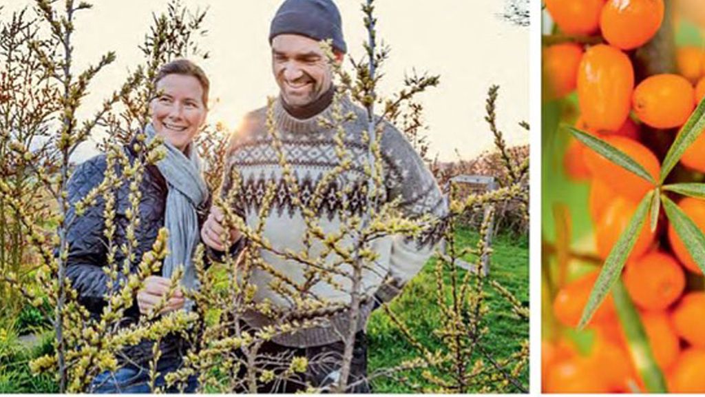 Mads og Camilla hos HØSTET