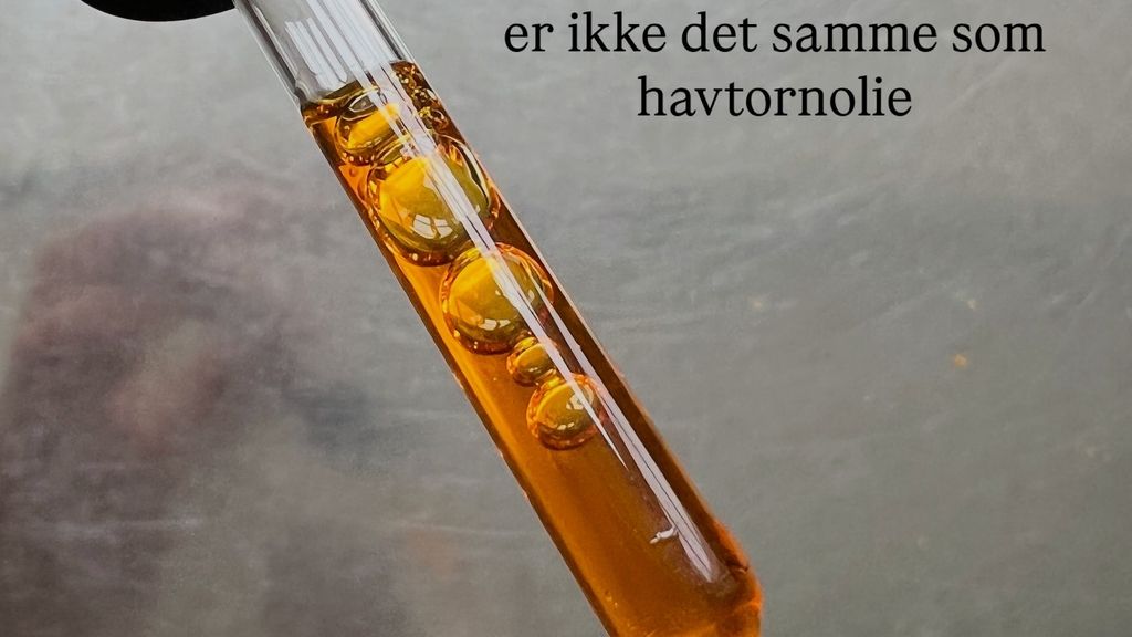 Havtornkerneolie fra HØSTET