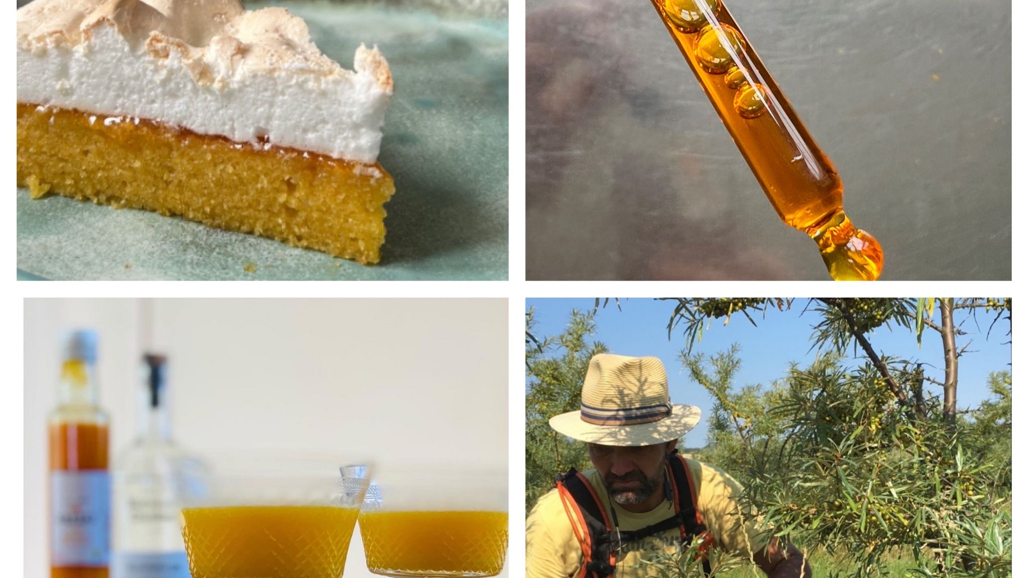 Høstet - billedcollage