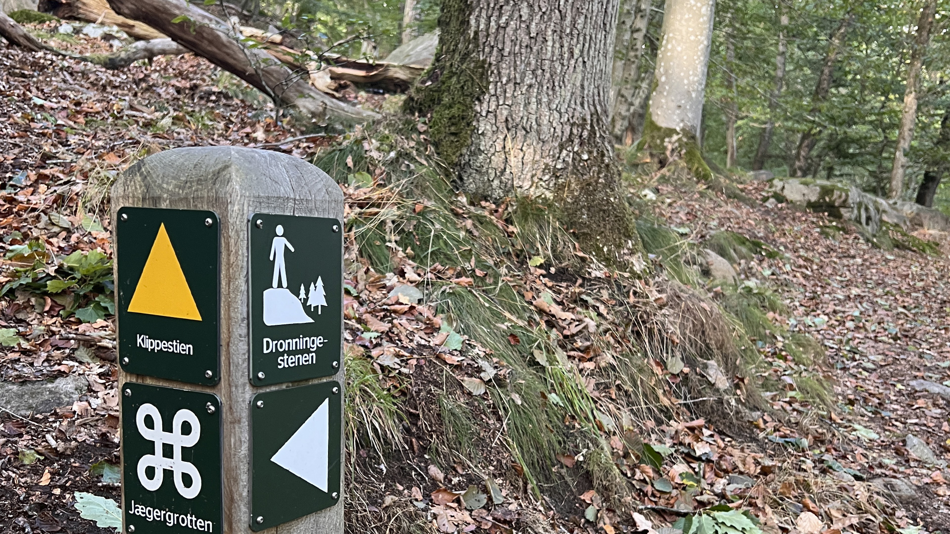 Guide on Klippestien