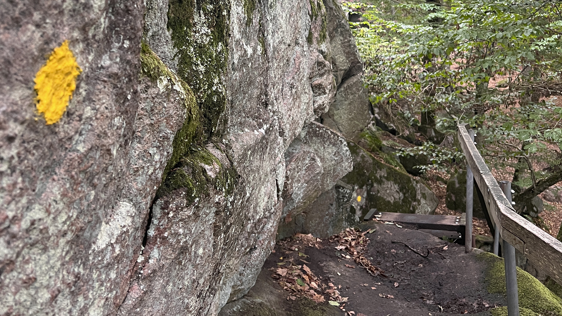 Hike on the Cliff Path