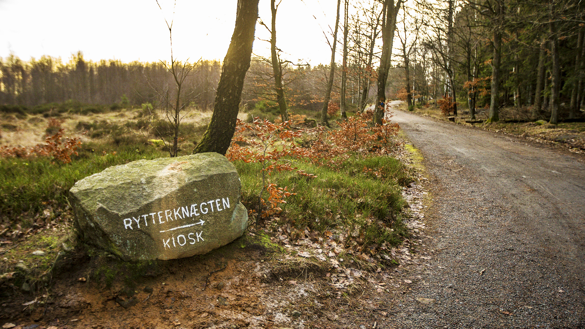 Stein mit Wegweisern nach Rytterknægten im Herbst