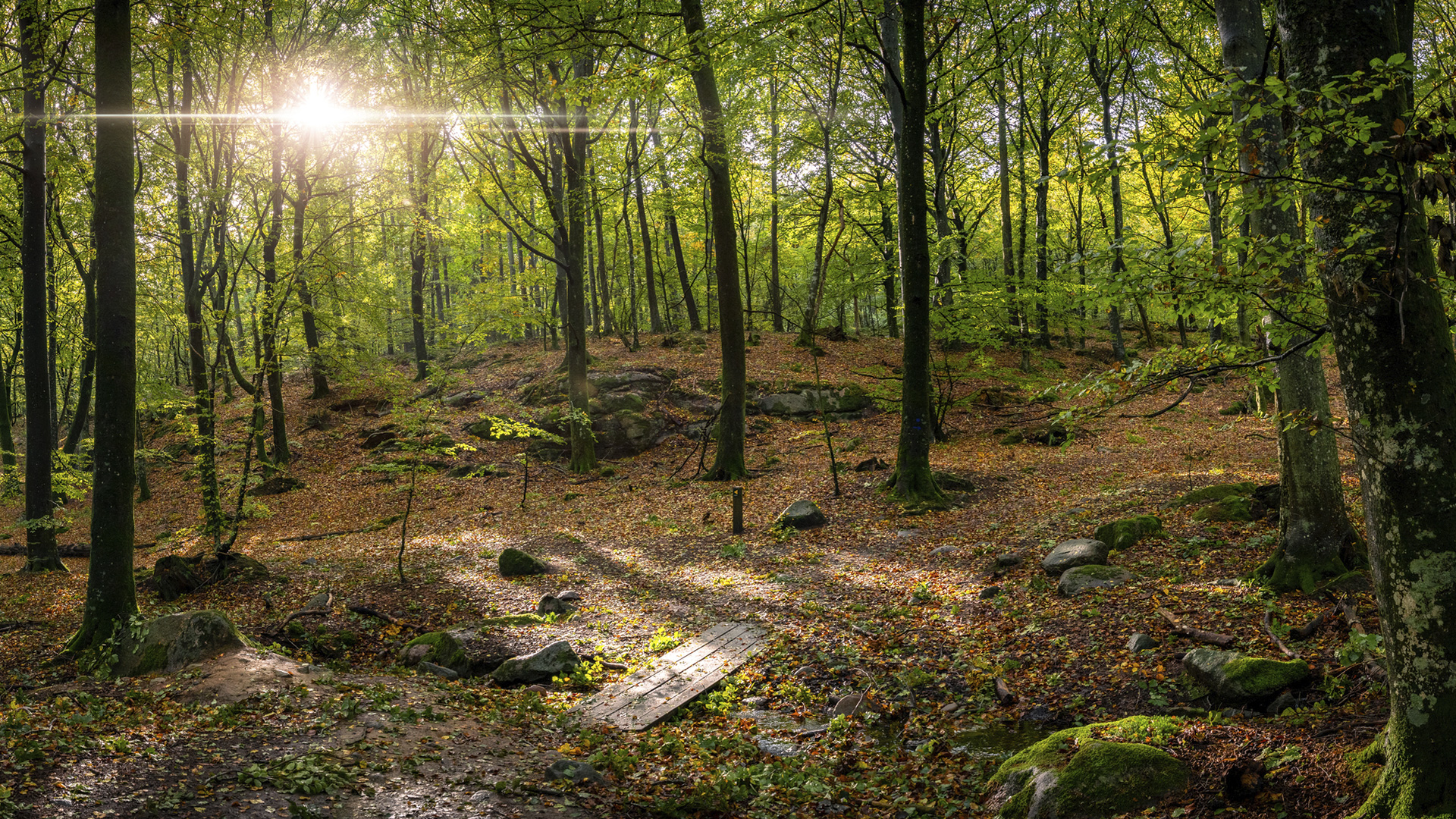 Die Alminding in Herbstfarben