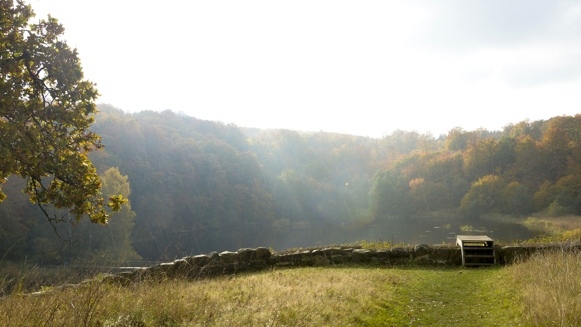 Lilleborg in leuchtenden Herbstfarben