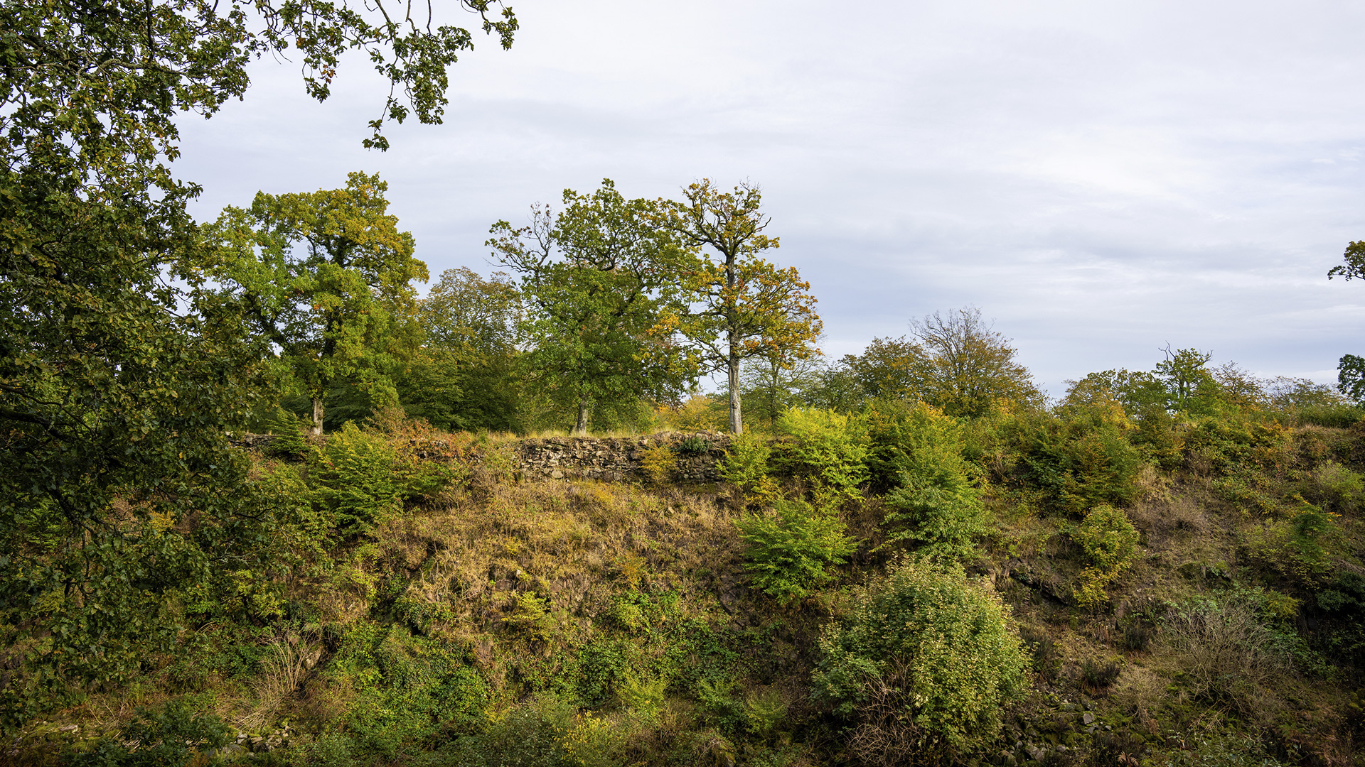 Gammelborg ist von wunderschöner Natur umgeben