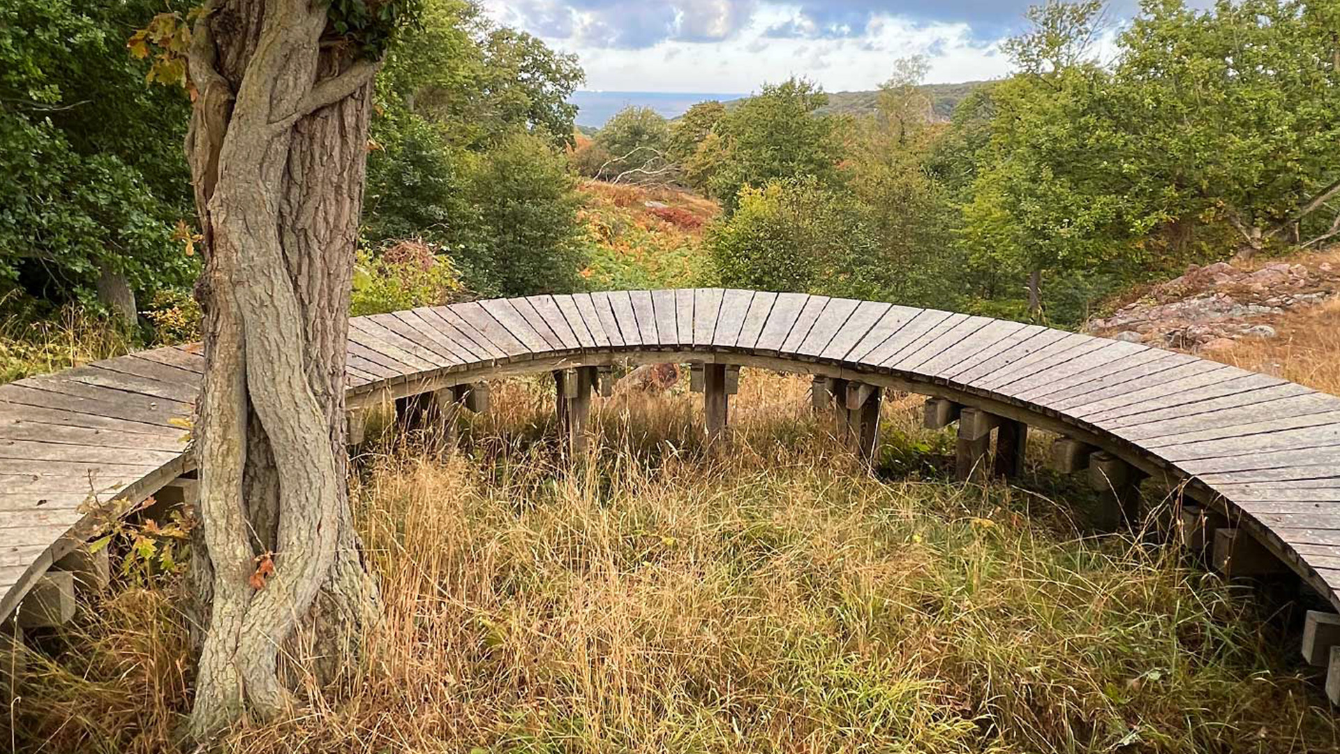 Rundweg auf dem Zirkelst