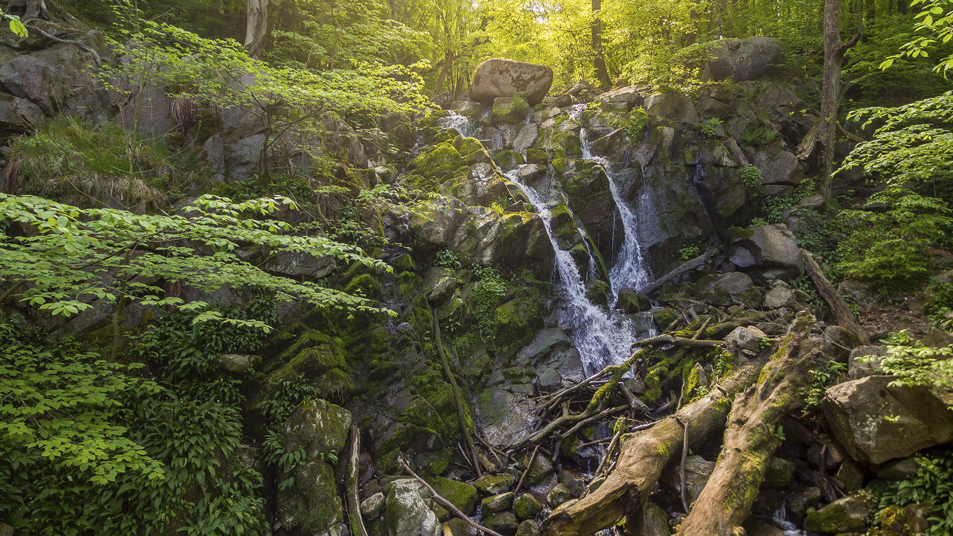 Døndalsvandfaldet – Dänemarks höchster Wasserfall