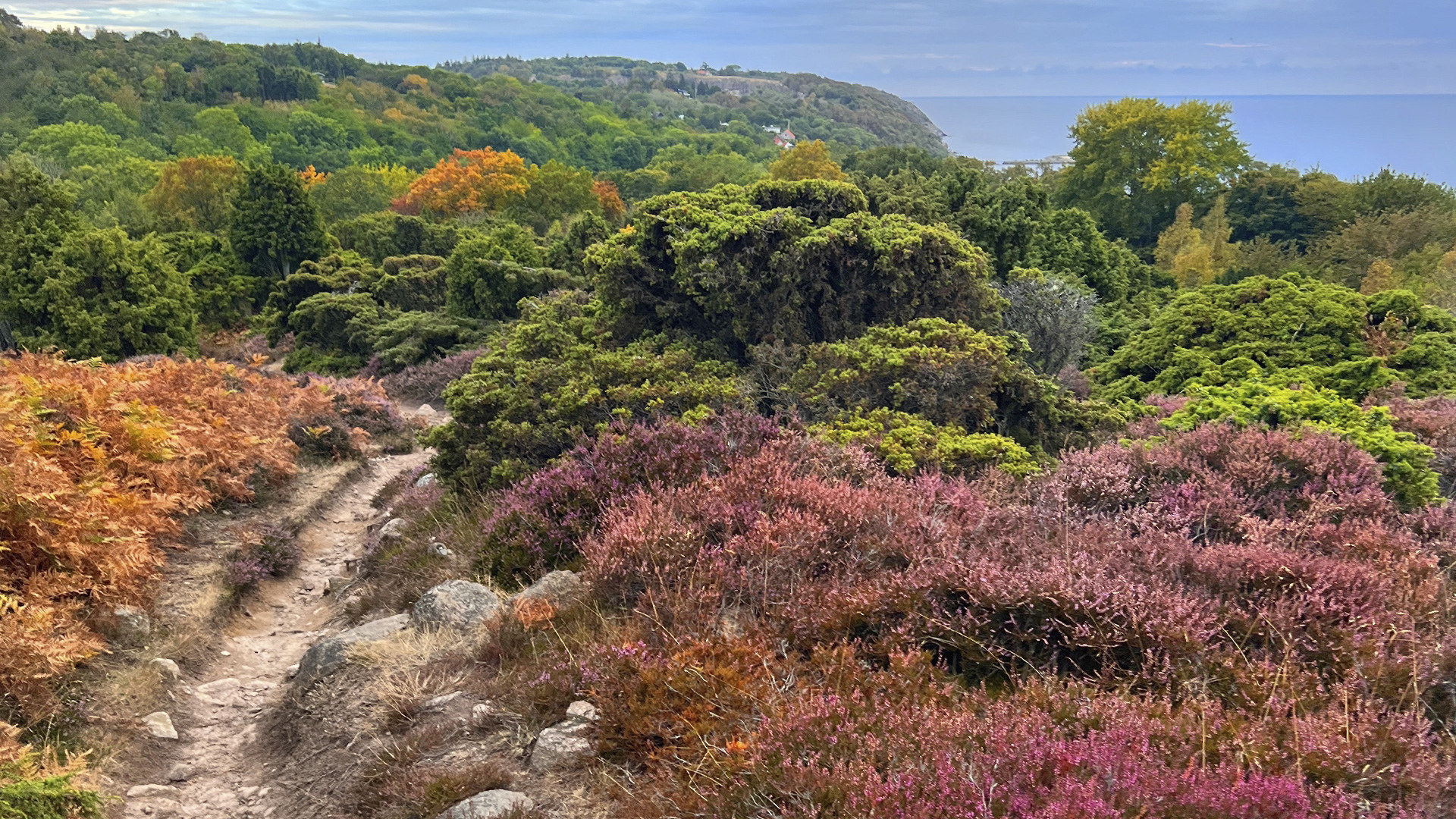 Die Aussicht auf dem Weg zum Finnens Top