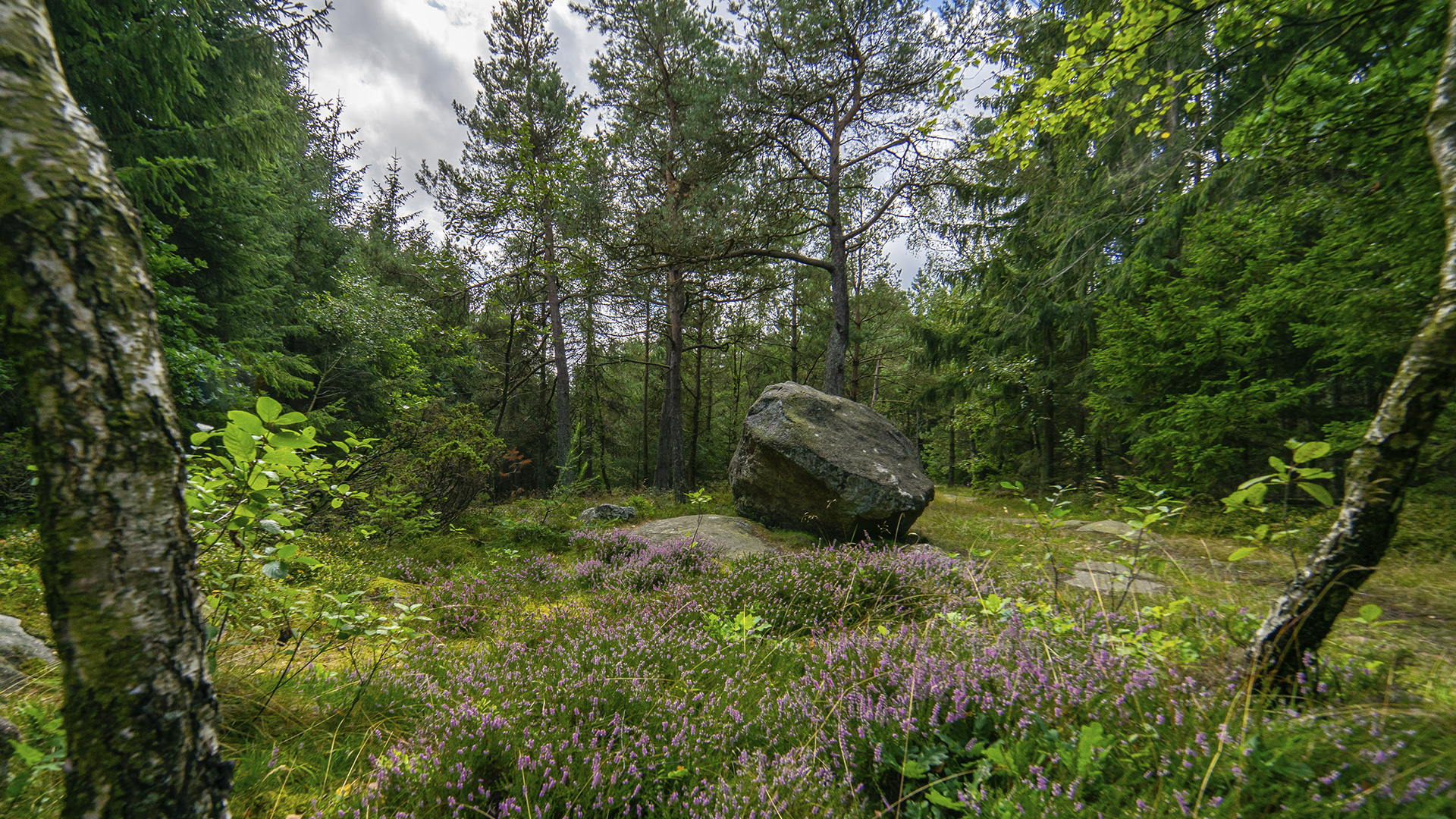 Rokkestenen i Paradisbakkerne