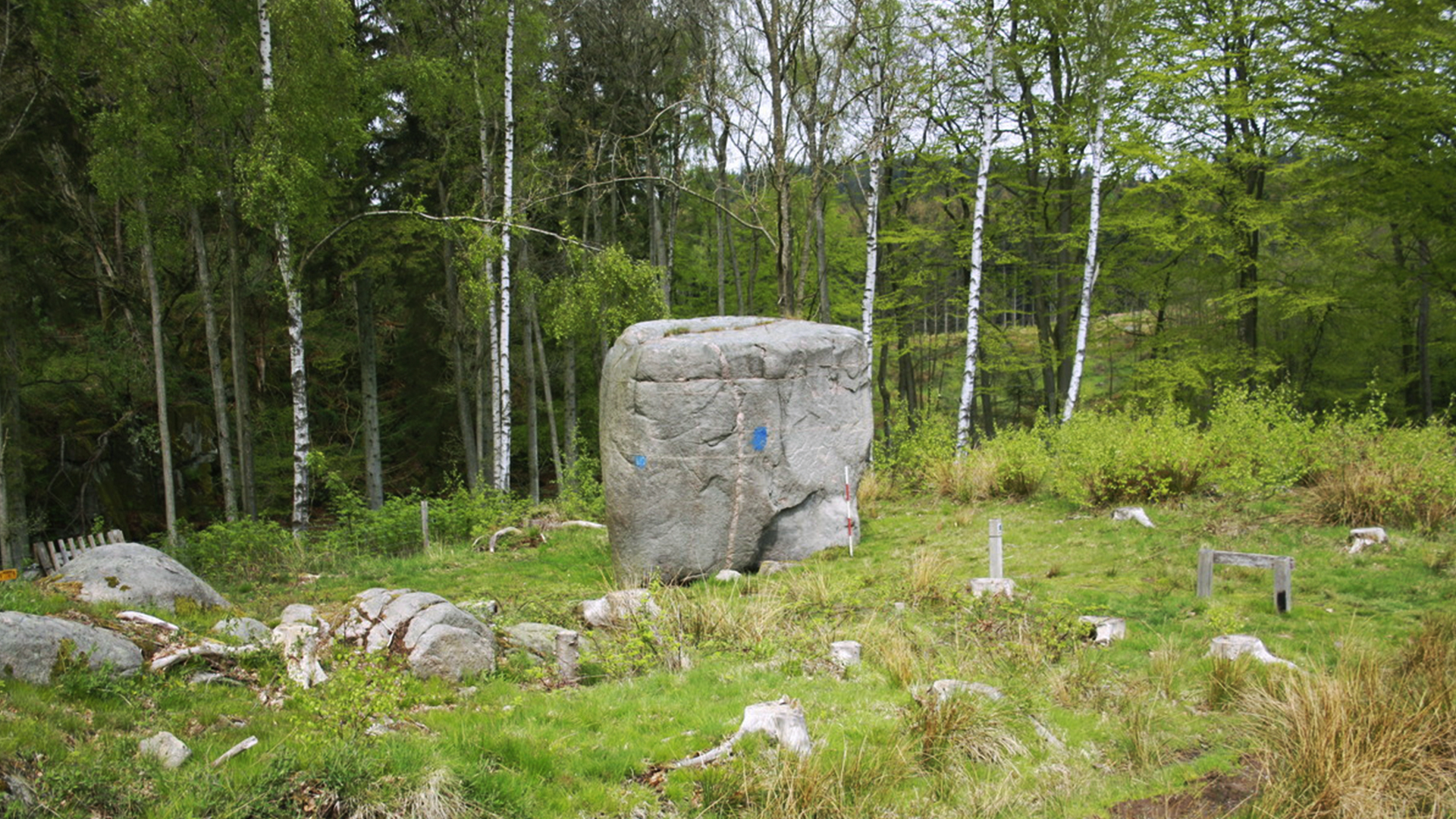 Sligestenen i Paradisbakkerne
