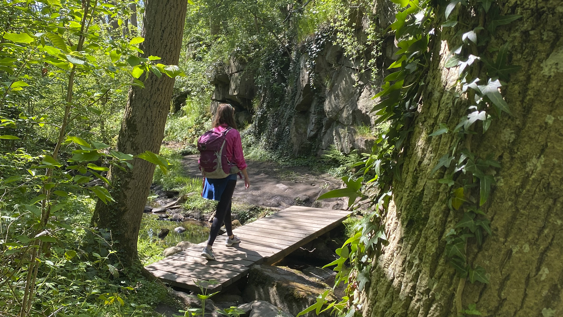 Woman in Svartingedalen