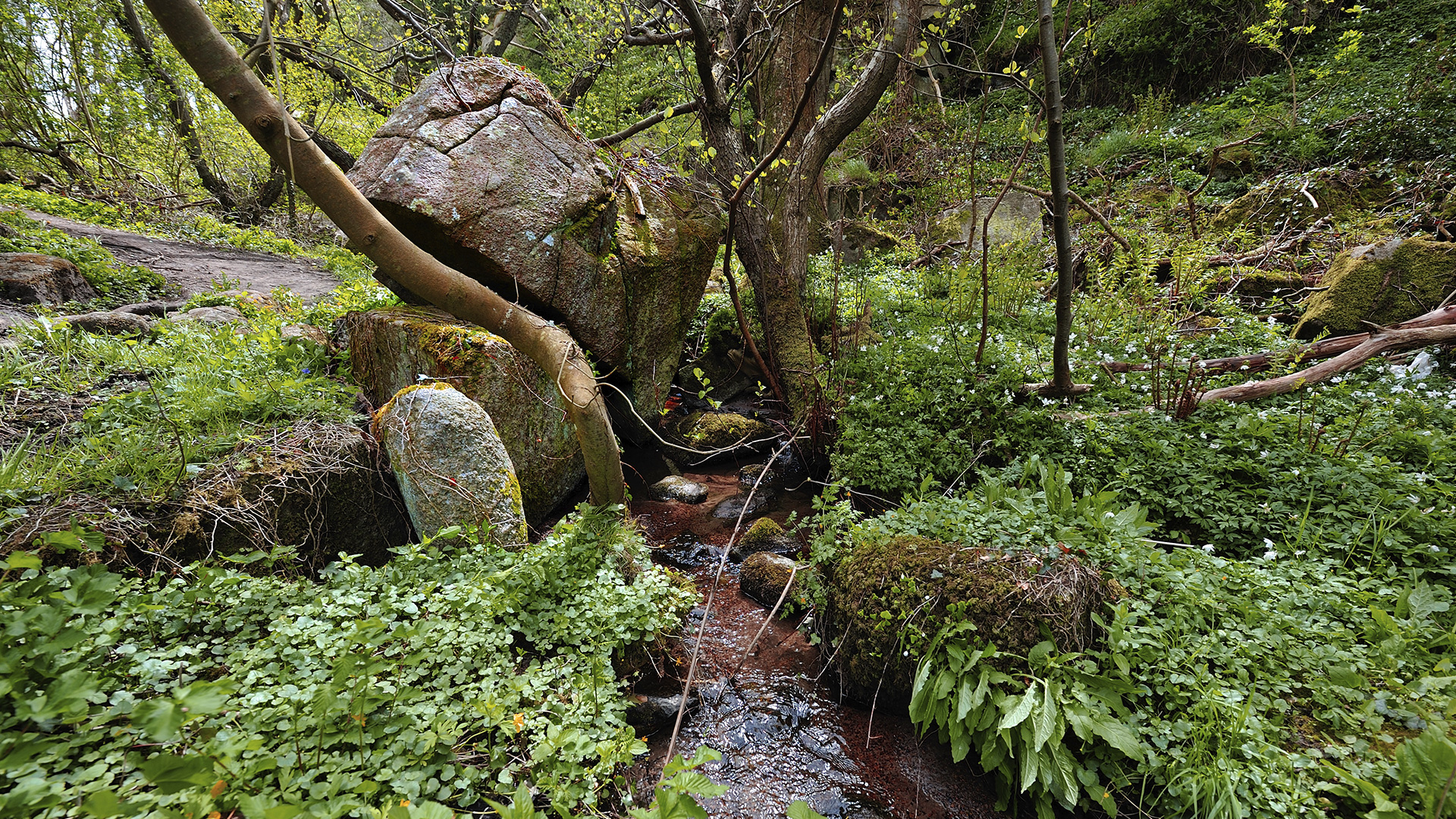 Blaaskinsdalen near Vang