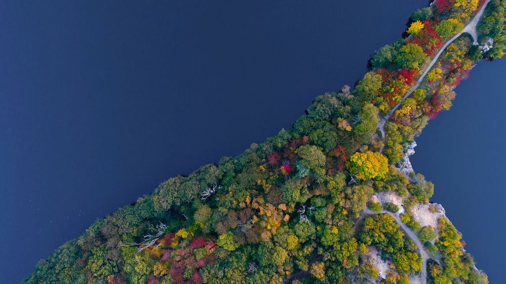 Mellem Hammer- og Opalsøen