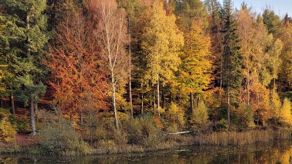 Efterårsstemning i Almindingen