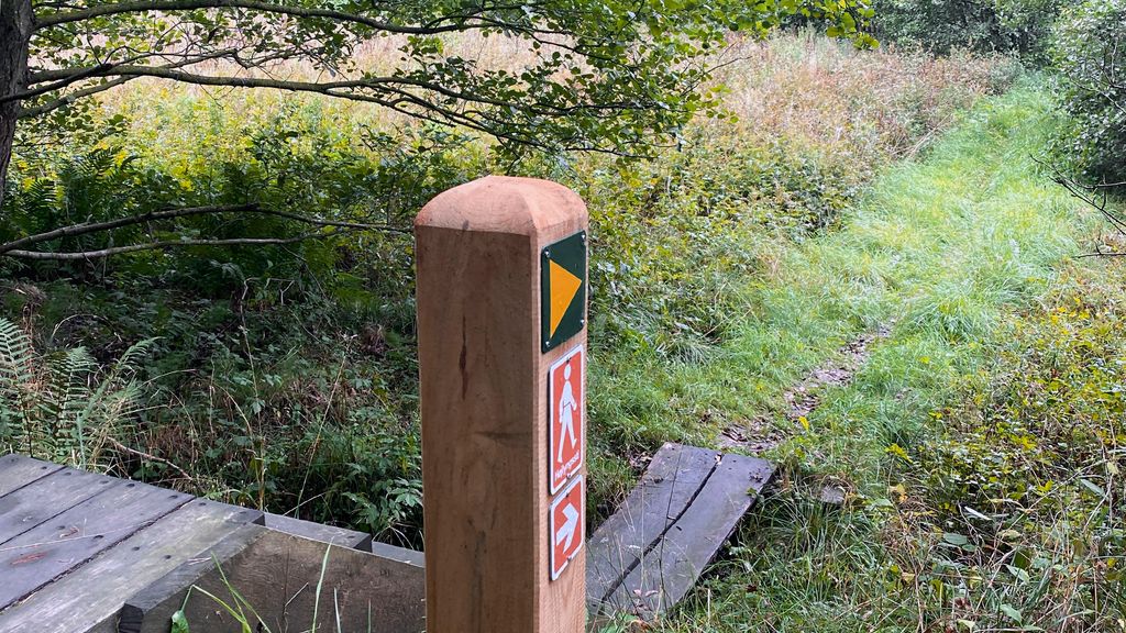 Hiking route: Højlyngsstien leg 3 – Rø Plantage to Rytterknægten in Almindingen