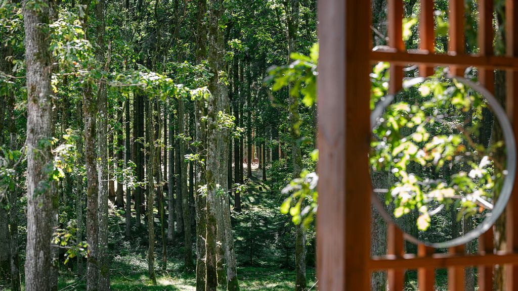 Ind i skoven fra Trailcenter Rytteknægten