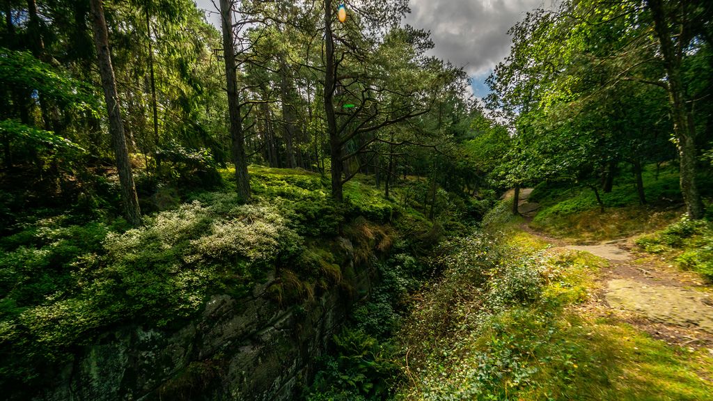 Hiking route: Højlyngsstien leg 5 – From Ølene to Årsdale