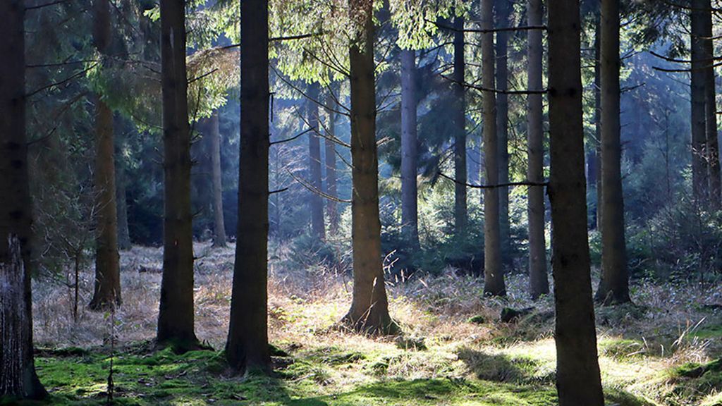 Hiking route: Højlyngsstien leg 5 – From Ølene to Årsdale