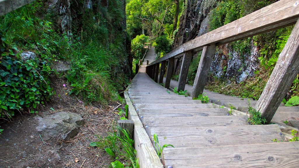 Trapperne til og fra Jons Kapel