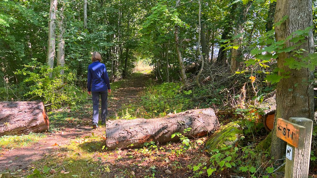 Stien langs Gyldenåen