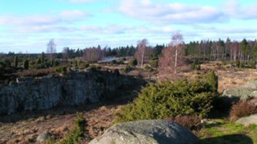 Paradisbakkerne (Paradieshügel)