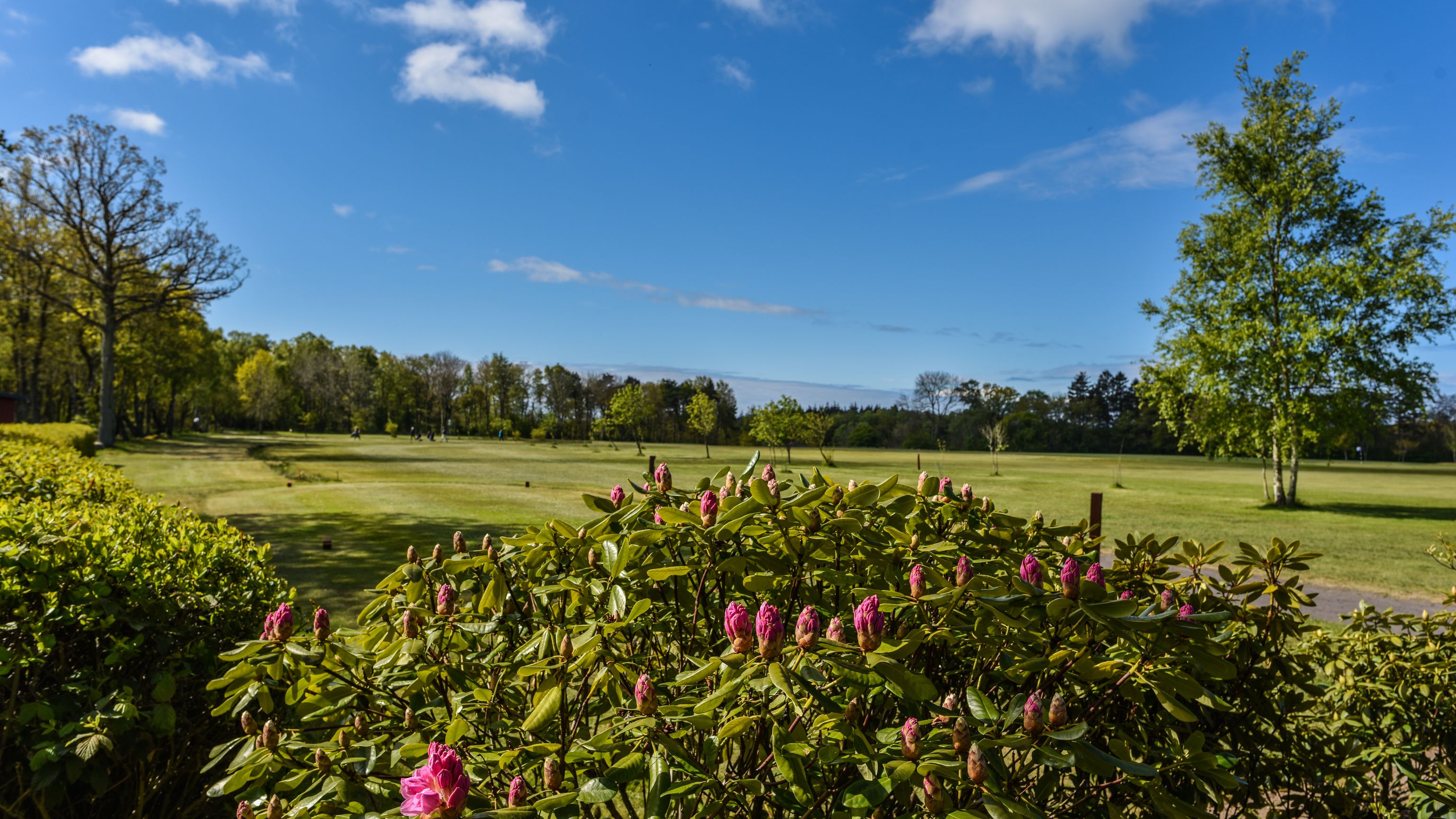 Bornholms Golf Klub - Rønne