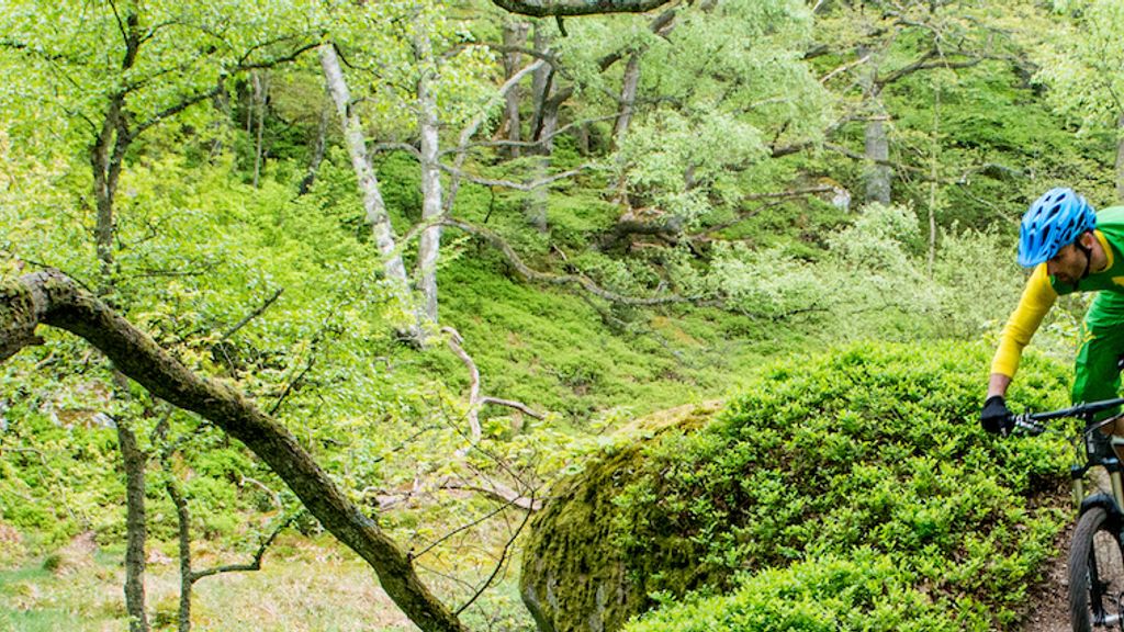 Trailskipper Bornholm