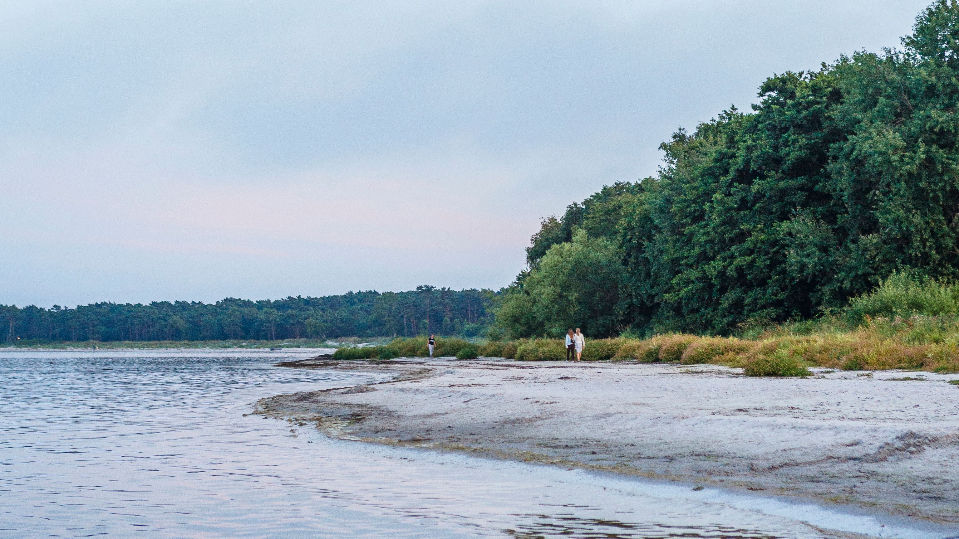 Stranden ved snogebæk