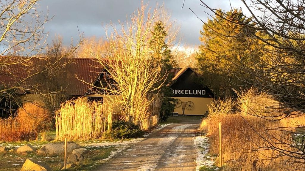 Birkelund – åbent også om efteråret