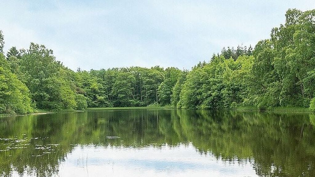 Birkelund – Ferielejligheder i naturskønne omgivelser