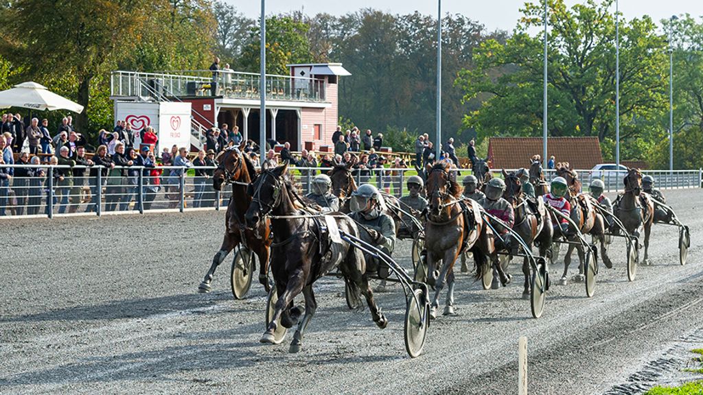 Bornholms Brand Park