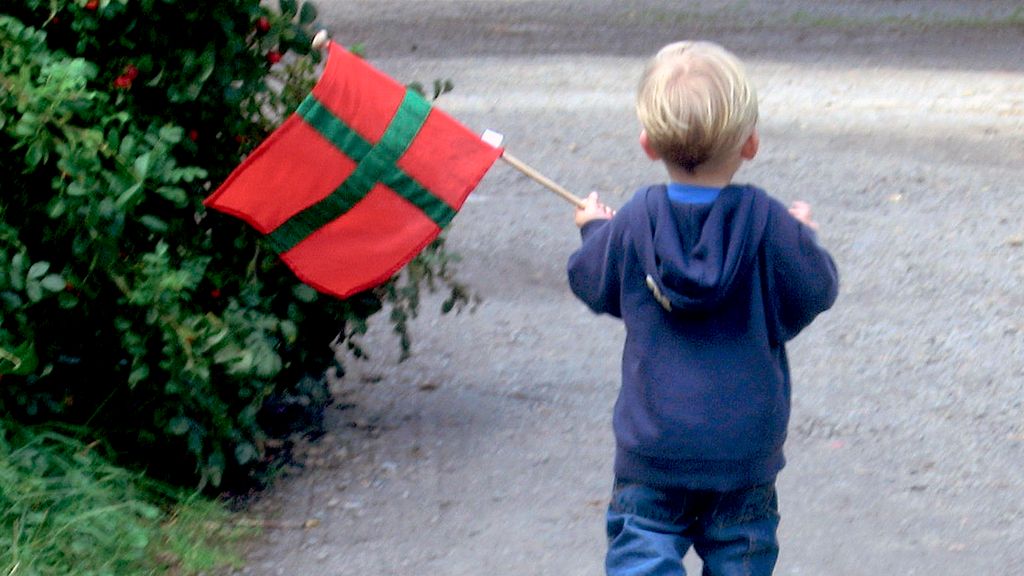 Barn med dannebrogsflag