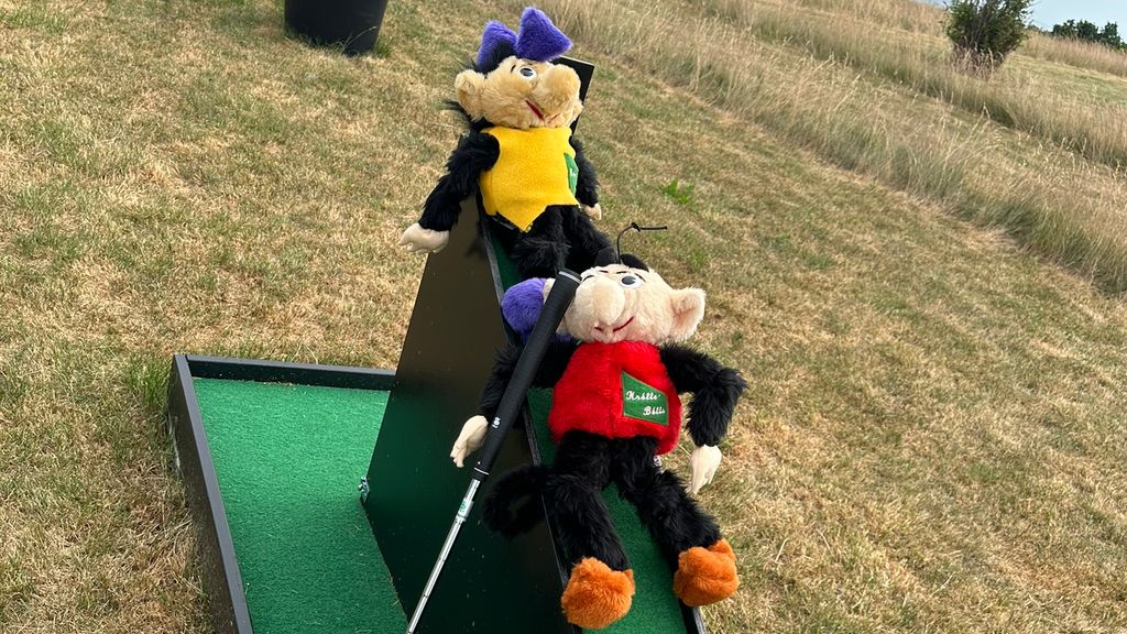 Minigolf og bamser